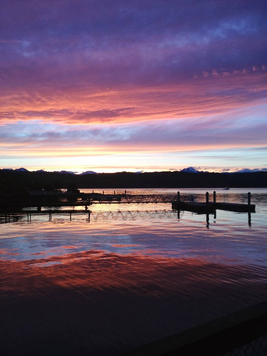 D D Denotta Seafood Company | restaurant | 17321 WA-106, Belfair, WA 98528, USA | 3605522085 OR +1 360-552-2085