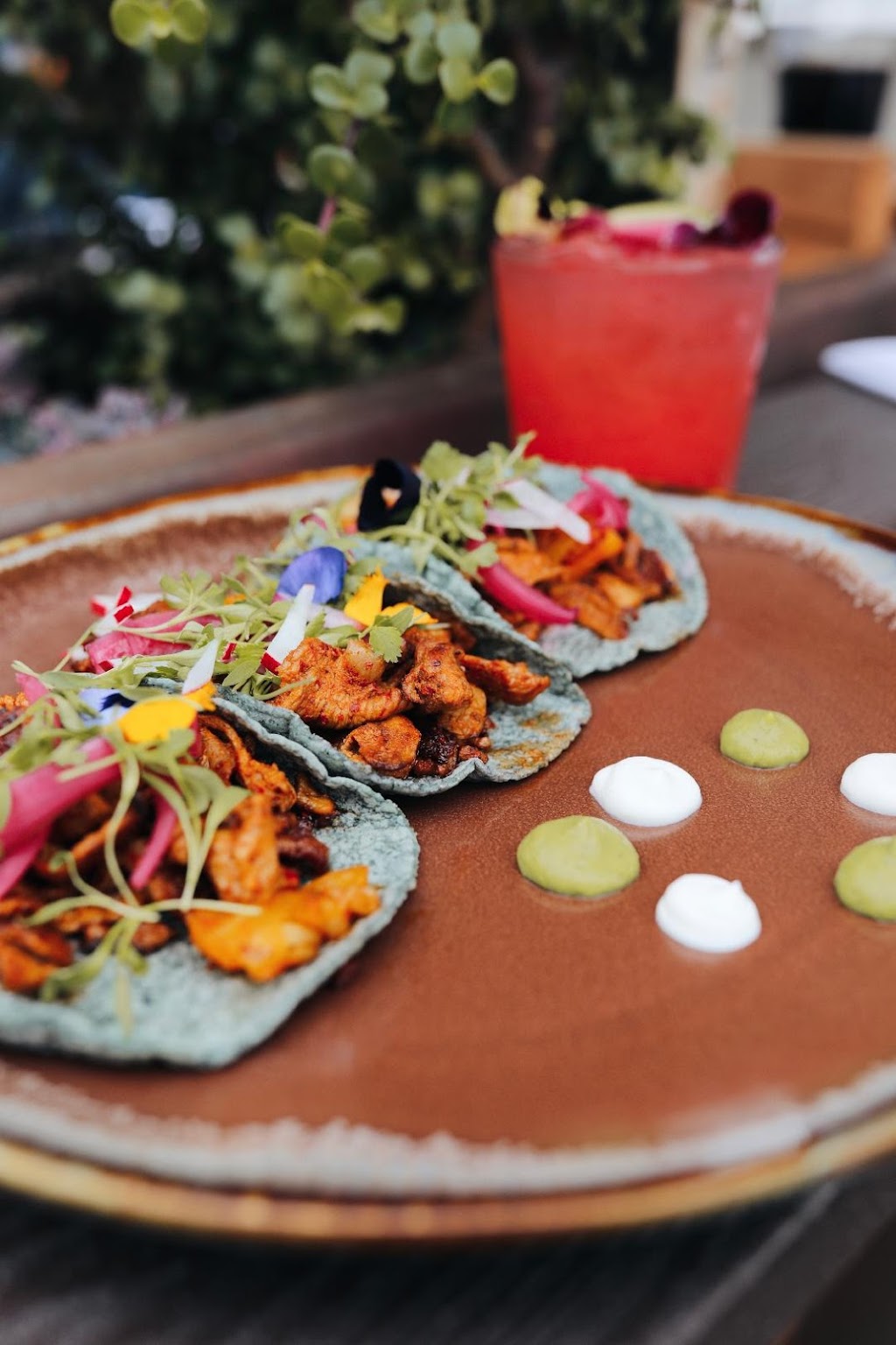 Cocina De Barrio | restaurant | 3707 Fifth Ave, San Diego, CA 92104, USA | 6196772770 OR +1 619-677-2770