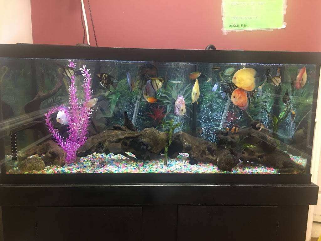 Hunan China | restaurant | 1203, 9234 Springhill Ln, Greenbelt, MD 20770, USA | 3014749190 OR +1 301-474-9190