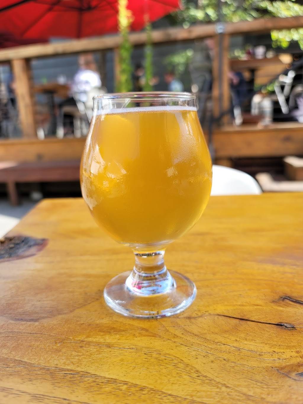 Bhramari Brewing Company | restaurant | 101 S Lexington Ave, Asheville, NC 28801, USA | 8282147981 OR +1 828-214-7981