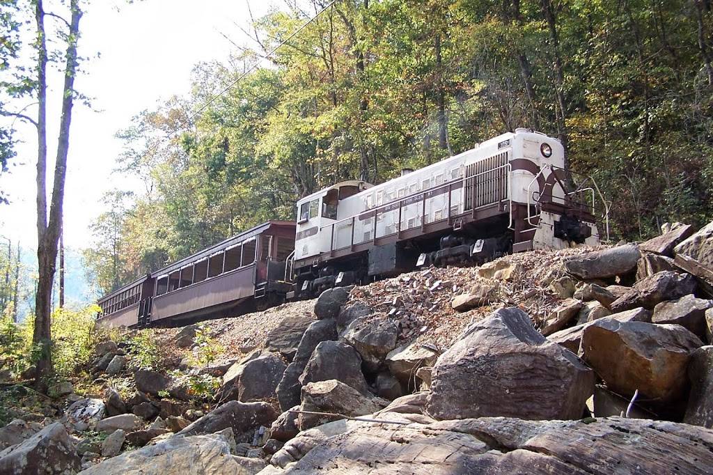 Big South Fork Scenic Railway | restaurant | 66 Henderson St, Stearns, KY 42647, USA | 8004625664 OR +1 800-462-5664