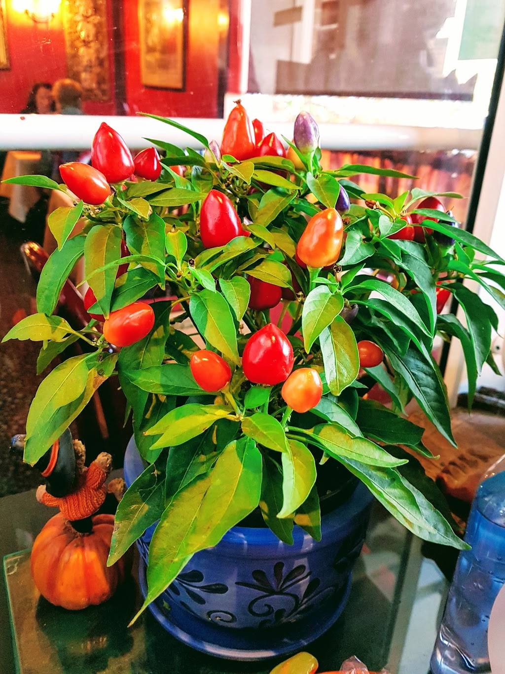 Sukhothai Restaurant | restaurant | 2134 Robertson Rd, Nepean, ON K2H 5Z1, Canada | 6138291010 OR +1 613-829-1010