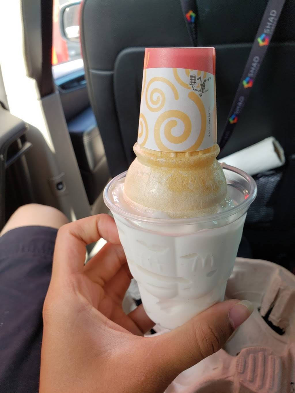 McDonalds | cafe | 95 Rue Conrad-Gosselin, Iberville-Junction, QC J2X 0A1, Canada | 4503473412 OR +1 450-347-3412