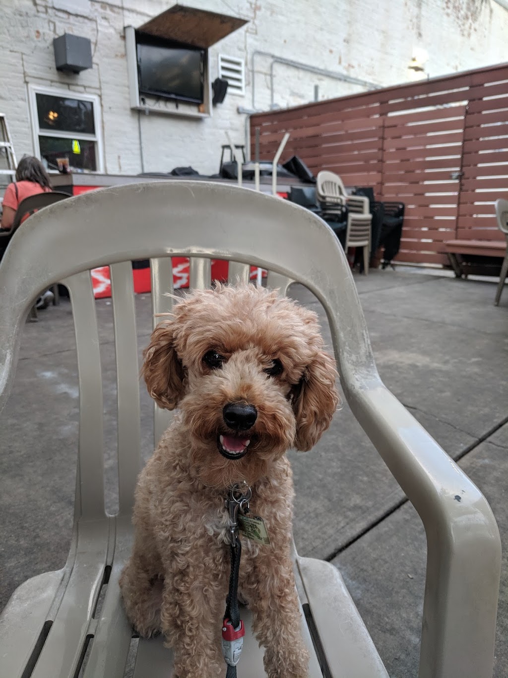 Chasers Bar & Grille | restaurant | 408 W Gorham St, Madison, WI 53703, USA | 6085886825 OR +1 608-588-6825