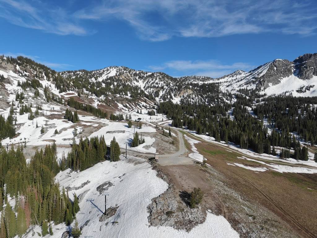 Albion Grill | restaurant | 10520 E Day Lodge Rd, Alta, UT 84092, USA | 8018607507 OR +1 801-860-7507