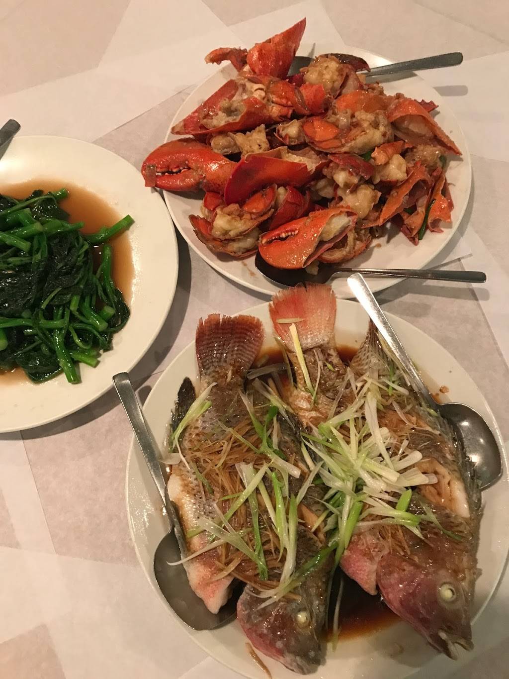 Panda West | Chinese Seafood Restaurant | restaurant | 135 Marshall St, Syracuse, NY 13210, USA | 3154747777 OR +1 315-474-7777