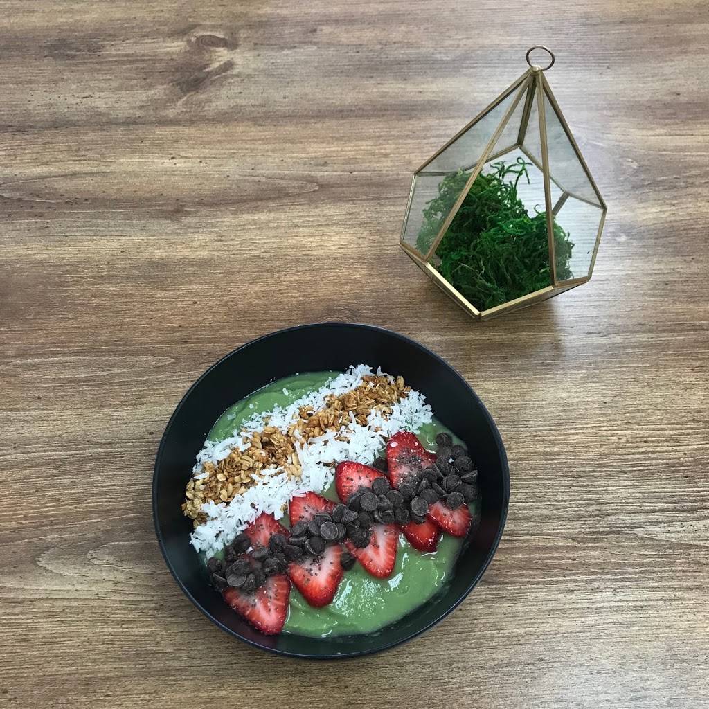 Fresh Factory | restaurant | 7350 Gulf Blvd, St. Petersburg, FL 33706, USA | 7272906954 OR +1 727-290-6954