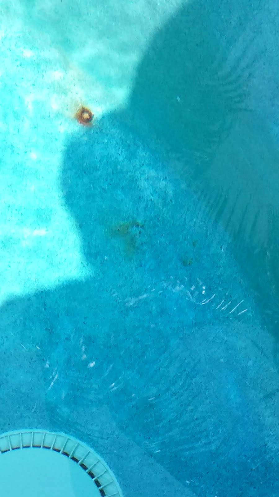 GLL Solutions Inc | restaurant | 1622 Island Way, Weston, FL 33326, USA | 9543896255 OR +1 954-389-6255