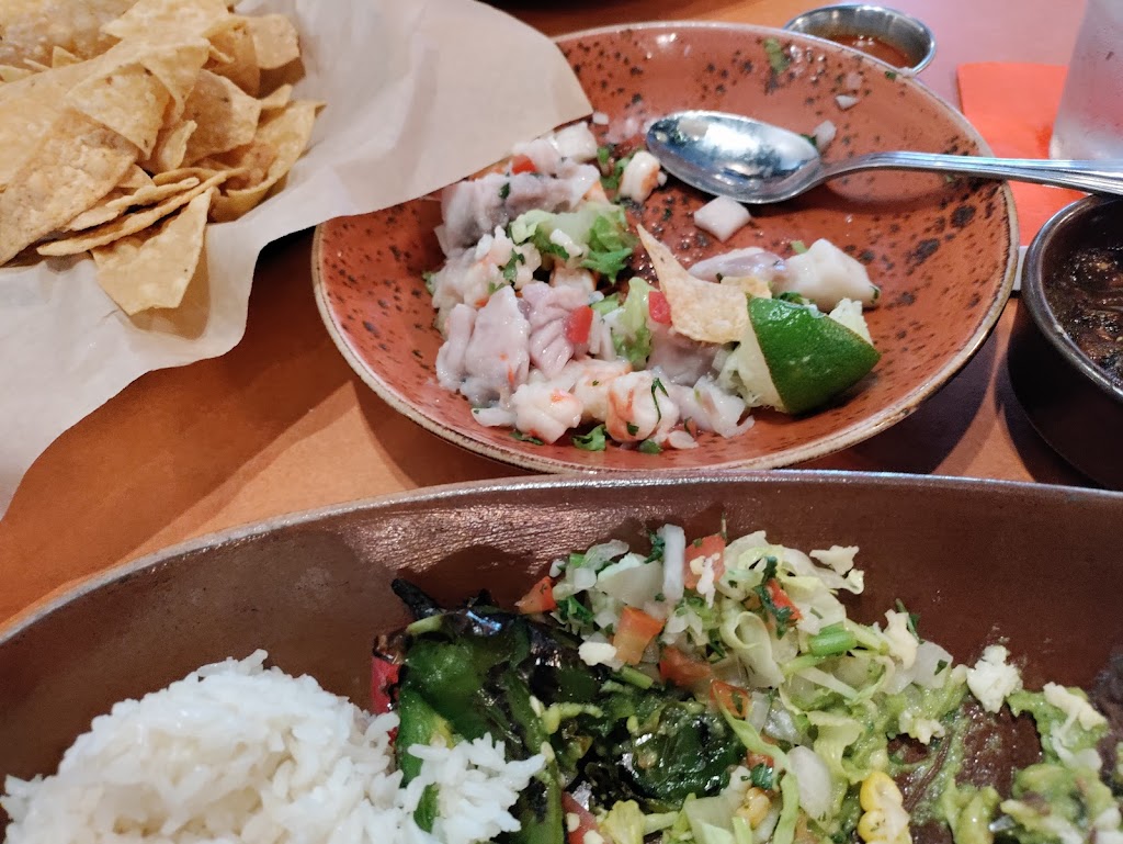 Meso Maya Comida y Copas | restaurant | 1611 McKinney Ave, Dallas, TX 75202, USA | 2144846555 OR +1 214-484-6555