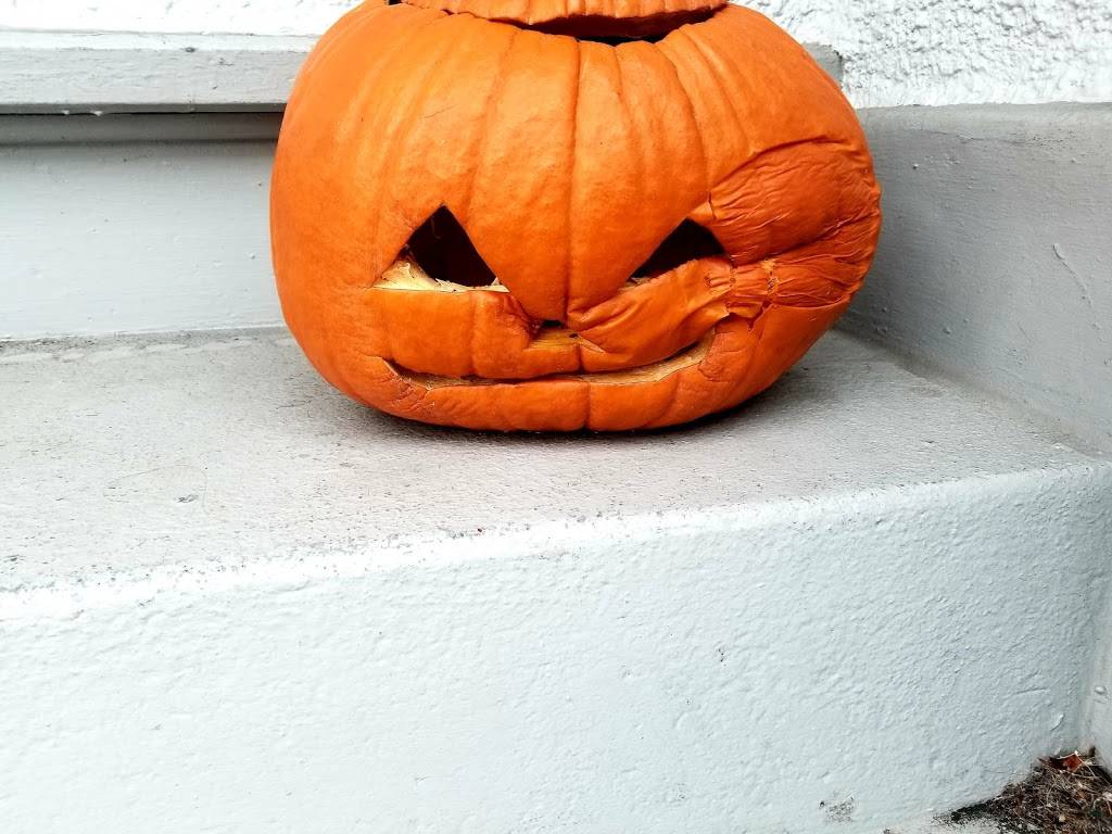 Joe Sent Me | restaurant | 2388 Massachusetts Ave, Cambridge, MA 02140, USA | 6174921116 OR +1 617-492-1116