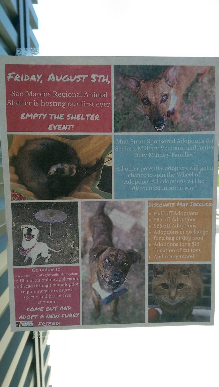 ThunderCloud Subs | restaurant | 1035 TX-123 #101, San Marcos, TX 78666, USA | 5127387283 OR +1 512-738-7283