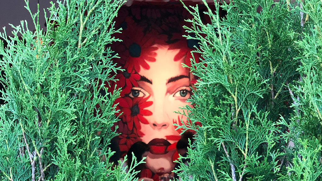 ilona | restaurant | 783 Tremont St, Boston, MA 02118, USA | 6172077742 OR +1 617-207-7742