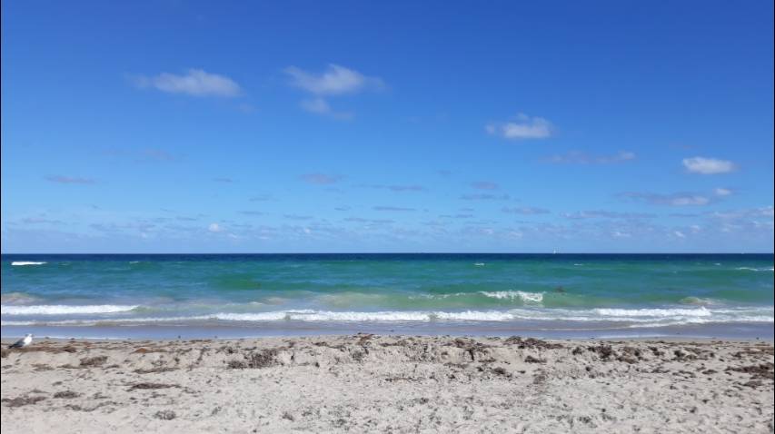 At Peru Restaurant | restaurant | 903 N Broadwalk, Hollywood, FL 33019, USA | 9546305554 OR +1 954-630-5554