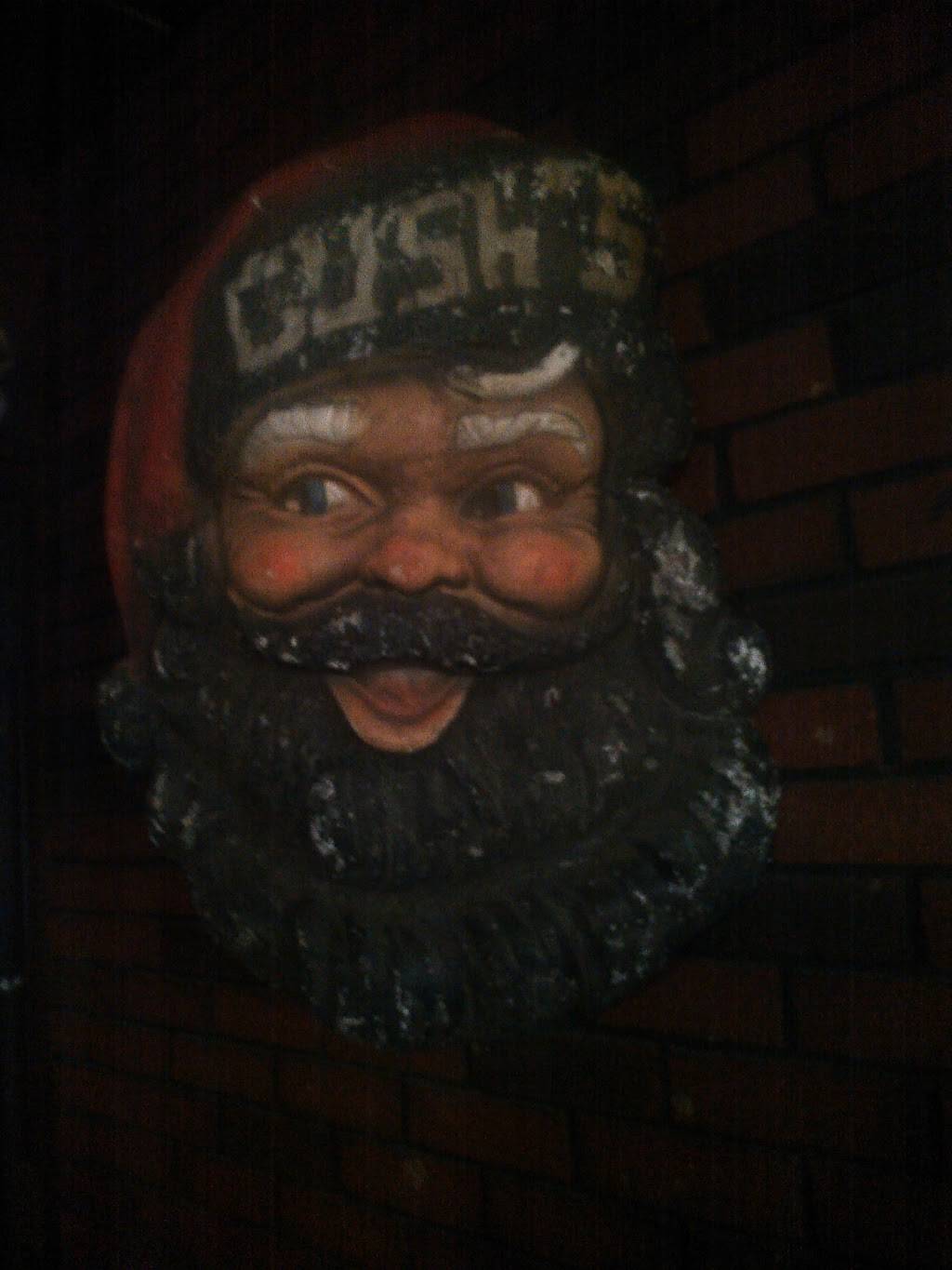 Thirsty Bear | restaurant | 351 E Washington Ave, Elmira, NY 14901, USA | 6077323450 OR +1 607-732-3450