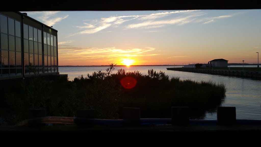 OC Steamers Restaurant | restaurant | 4517 Coastal Hwy, Ocean City, MD 21842, USA | 4105241018 OR +1 410-524-1018