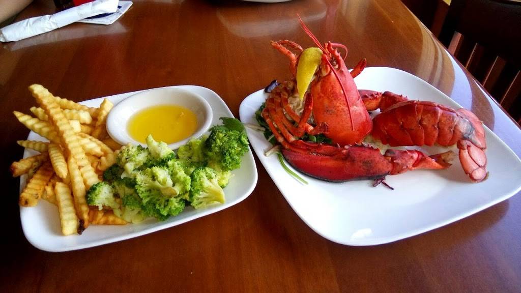 Toucans Bar & Grill | restaurant | 431 Mandalay Ave, Clearwater, FL 33767, USA | 7274614500 OR +1 727-461-4500