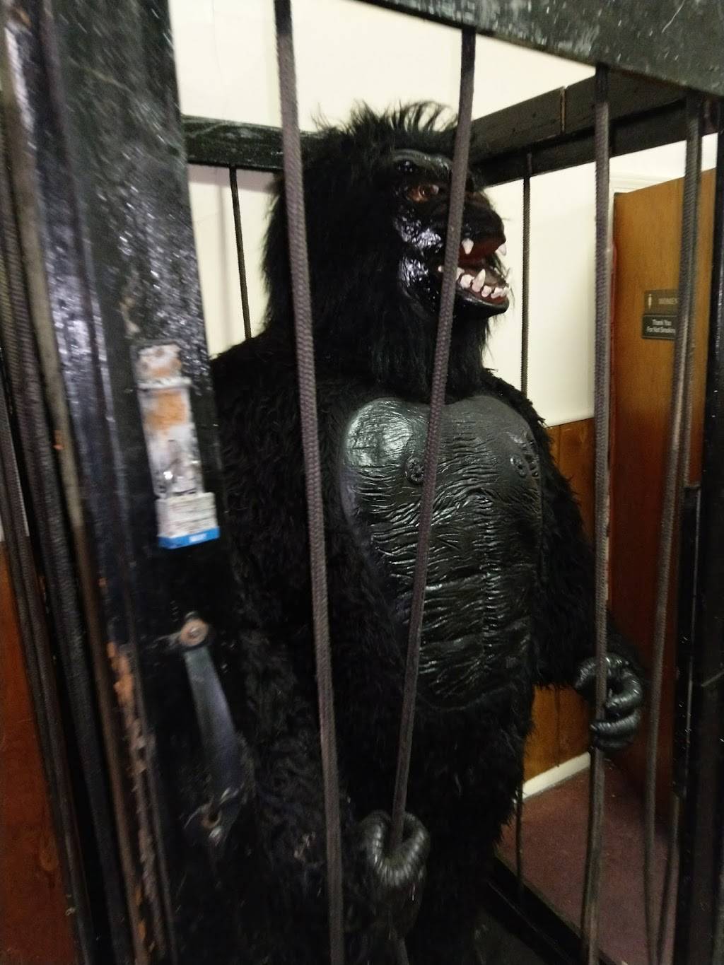 Wings & Stuff | restaurant | 7514 Cedar Ave, Cleveland, OH 44103, USA | 2168029464 OR +1 216-802-9464