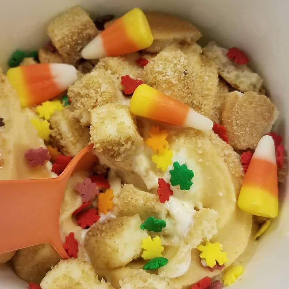 Igloo Frozen Yogurt and Treats | meal takeaway | 44 Front St, Berea, OH 44017, USA | 4402348744 OR +1 440-234-8744
