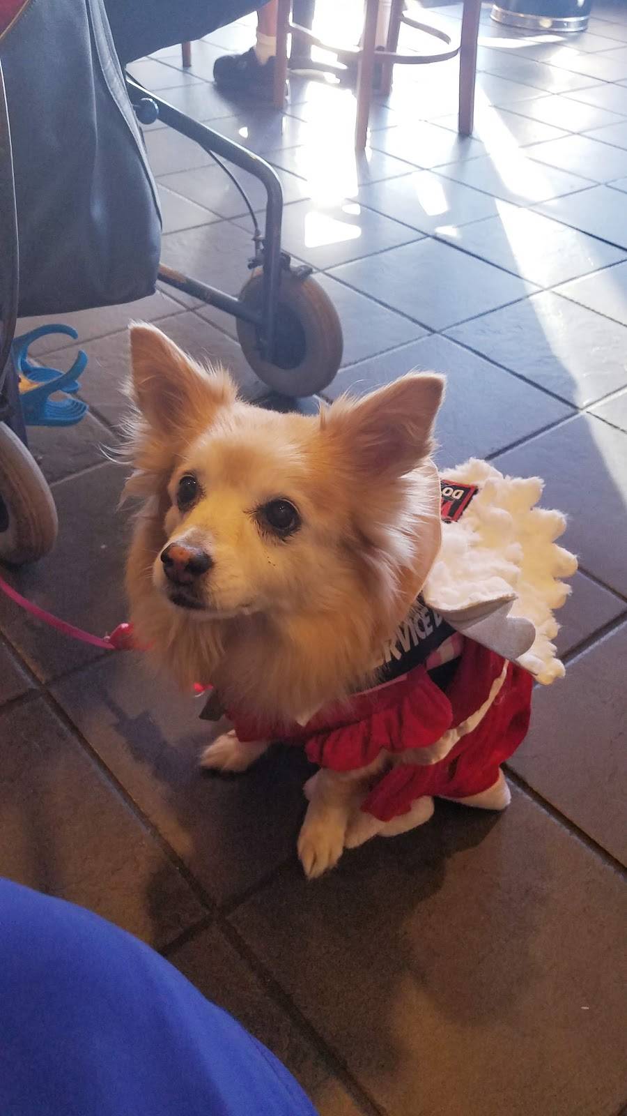 Starbucks | cafe | 1955 41st Ave Space A-1, Capitola, CA 95010, USA | 8314648091 OR +1 831-464-8091