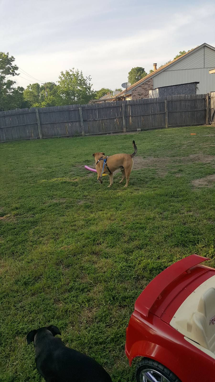 Parkhill Park Concession Stand | restaurant | 5100 S Robinson Rd, Grand Prairie, TX 75052, USA | 9722377529 OR +1 972-237-7529