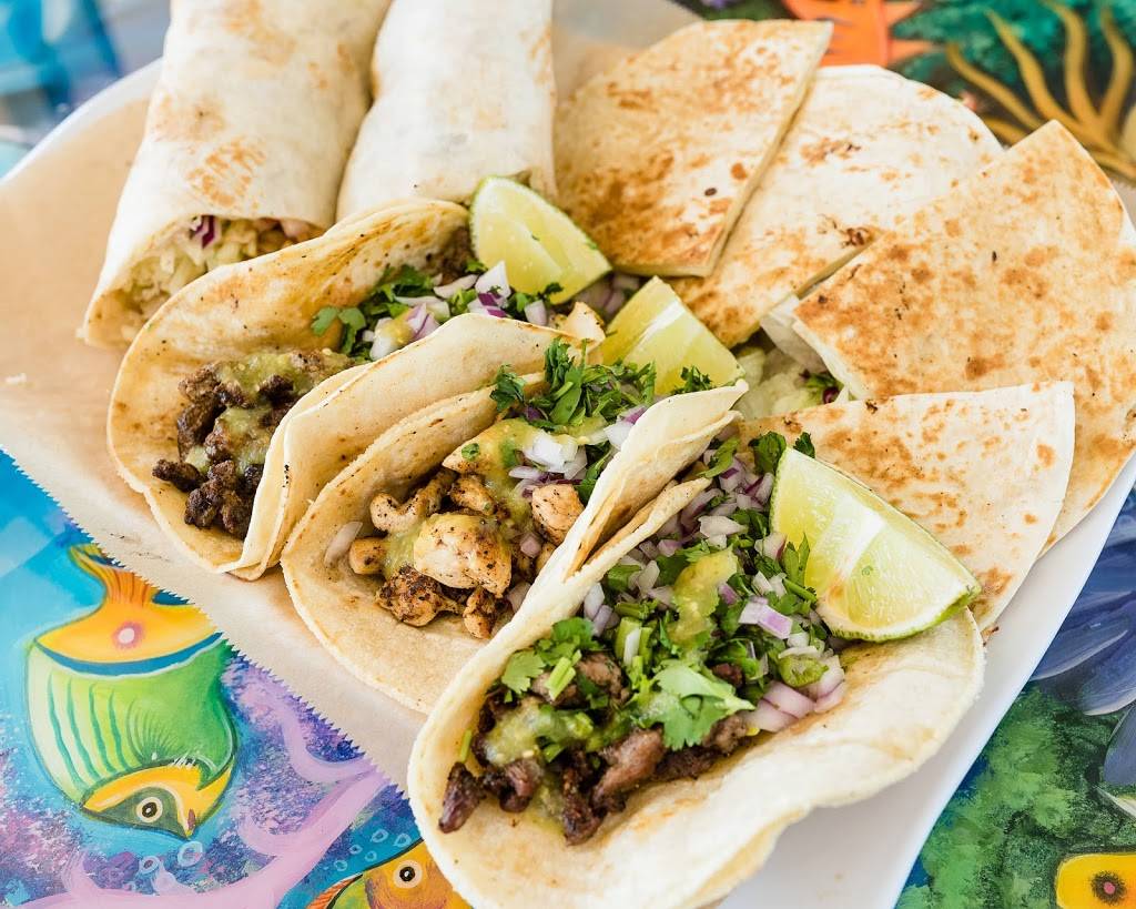 El Pescador Mexican Restaurant & Taquieria | restaurant | 19062 Bruce B Downs Blvd, Tampa, FL 33647, USA | 8136159595 OR +1 813-615-9595