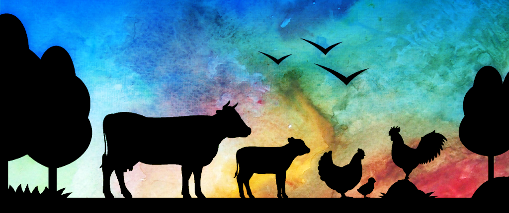 Kaskazini Kitchen | restaurant | 881 Turnpike Rd, East Meredith, NY 13757, USA | 6077468874 OR +1 607-746-8874