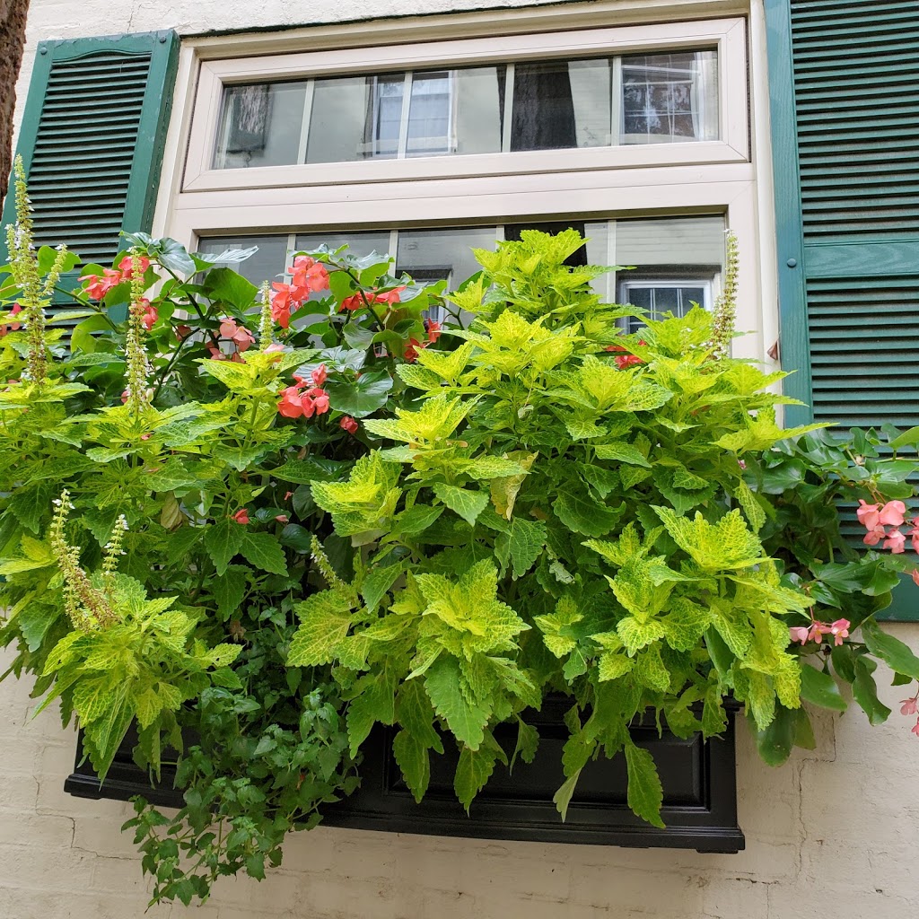 Knock Restaurant and Bar | restaurant | 225 S 12th St, Philadelphia, PA 19107, USA | 2159251166 OR +1 215-925-1166