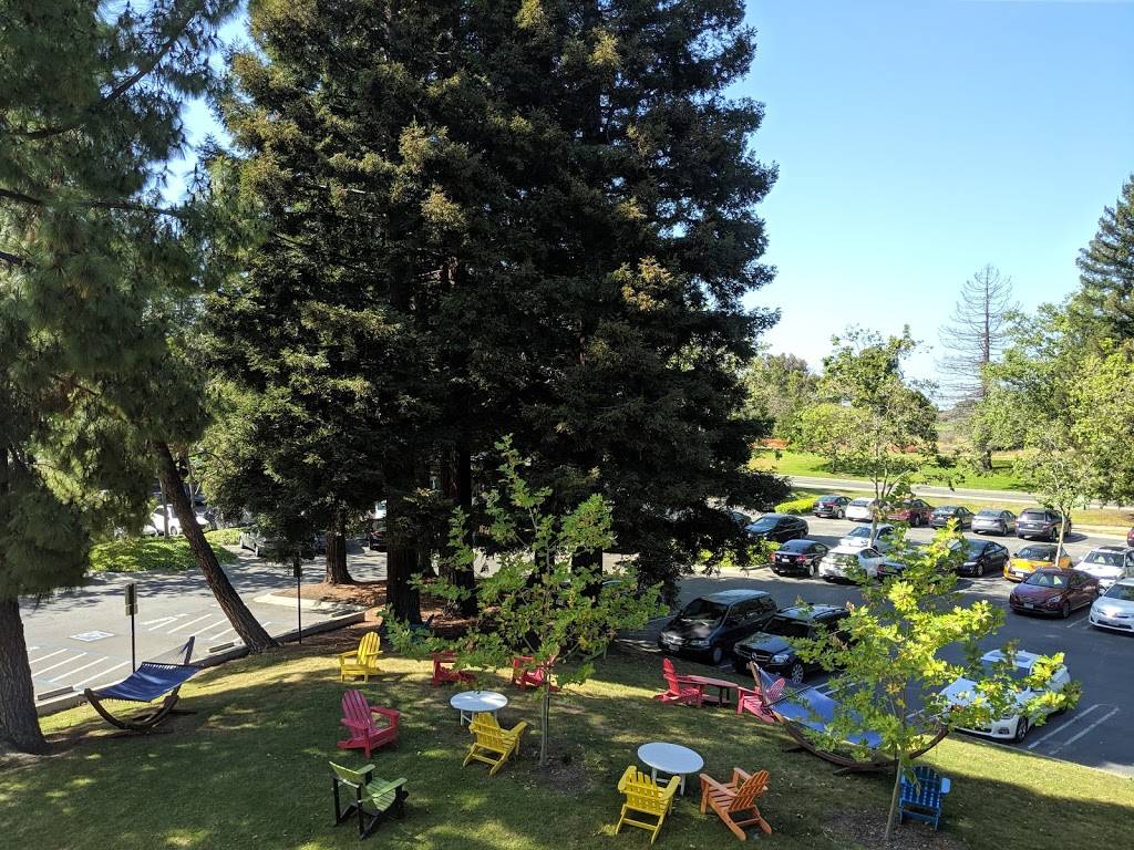 Sushi Surf Shack | restaurant | 1501 Salado Dr, Mountain View, CA 94043, USA | 8582302665 OR +1 858-230-2665