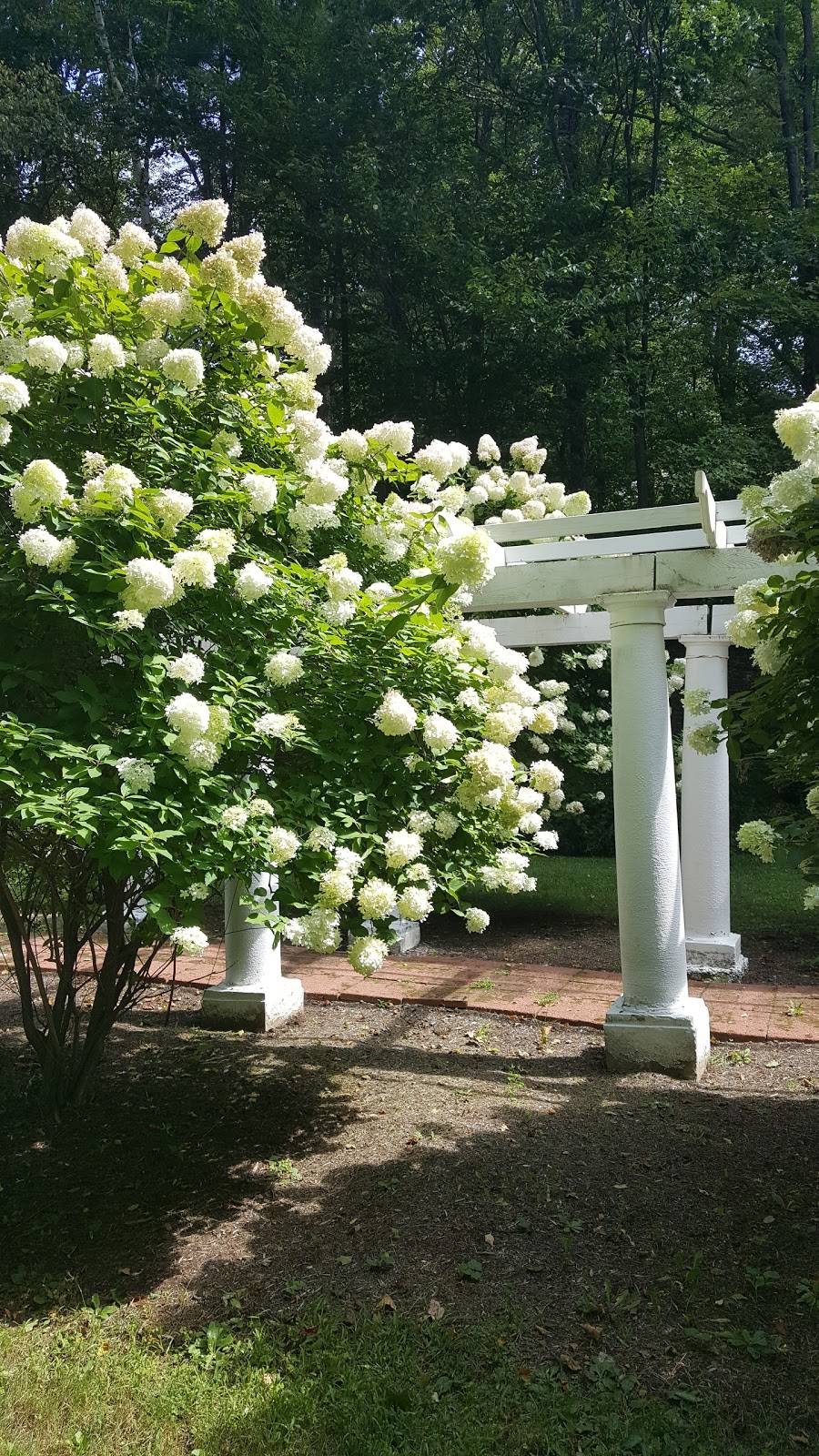 Hartness House Inn, Restaurant and Spa | restaurant | 30 Orchard St, Springfield, VT 05156, USA | 8028852115 OR +1 802-885-2115