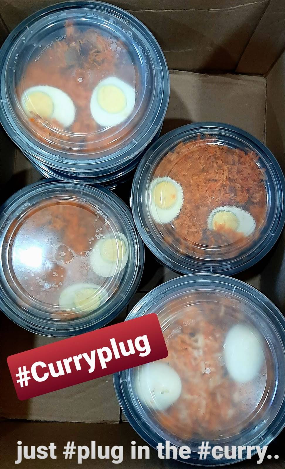 Curry Plug 2 | meal takeaway | 1659 W Campbell Rd #1405, Garland, TX 75044, USA | 4694200709 OR +1 469-420-0709