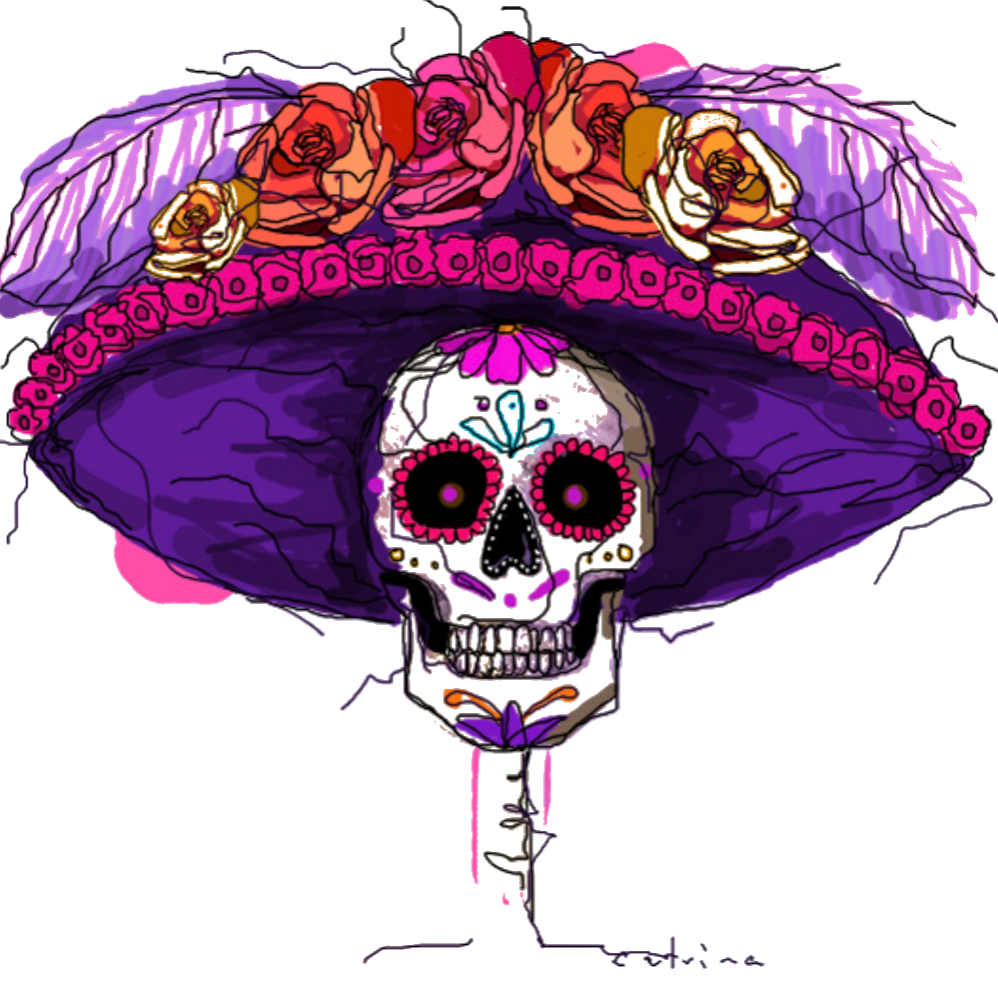 La Catrina Street Tacos & Tequila | restaurant | 845 W Market St, Troy, OH 45373, USA | 9377039041 OR +1 937-703-9041