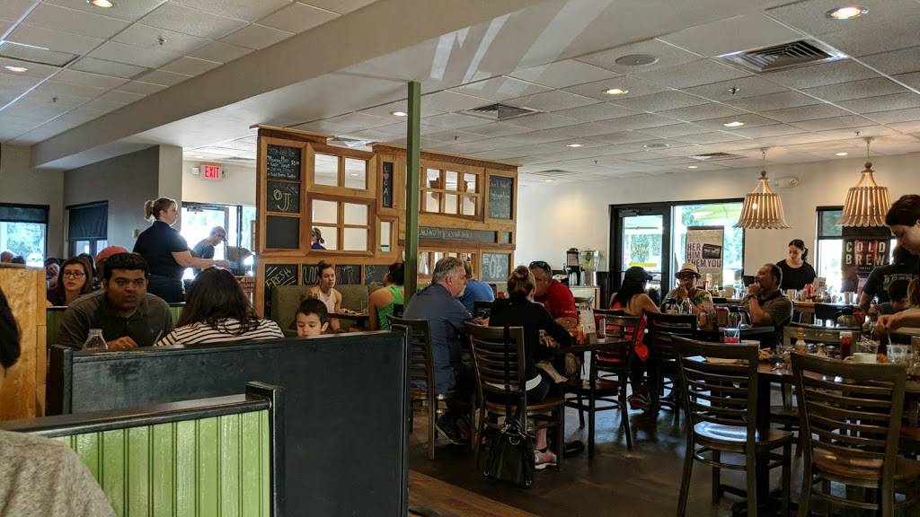 First Watch - Carrollwood | restaurant | 13186 N Dale Mabry Hwy, Tampa, FL 33618, USA | 8139614947 OR +1 813-961-4947