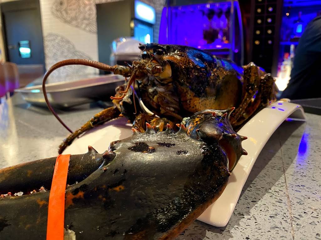 Crazy Seafood Cajun Seafood and Bar | restaurant | 847 Riverdale St, West Springfield, MA 01089, USA | 4138816888 OR +1 413-881-6888