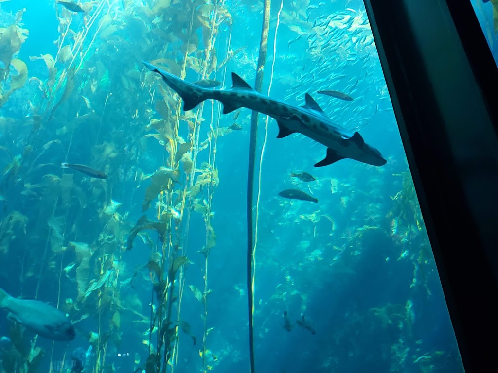 Fire Wings Florin Rd. | restaurant | 6013 Florin Rd #200, Sacramento, CA 95823, USA | 9162469968 OR +1 916-246-9968