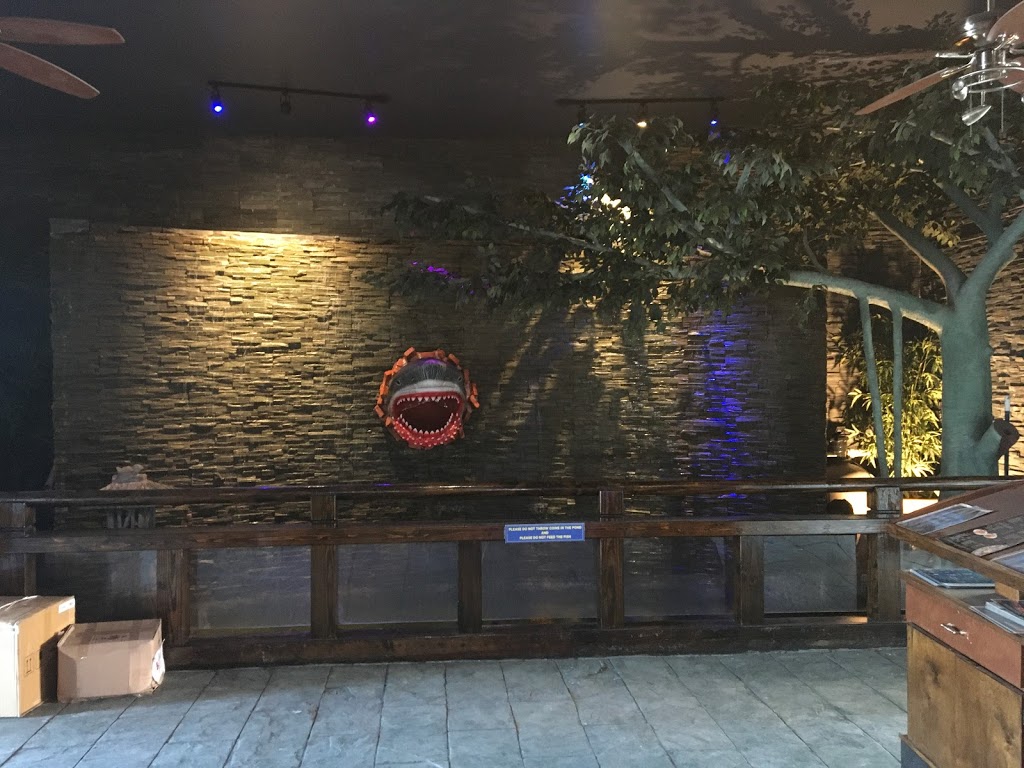 Hibachi Buffet | restaurant | 2456 Gulf to Bay Blvd, Clearwater, FL 33765, USA | 7277252083 OR +1 727-725-2083