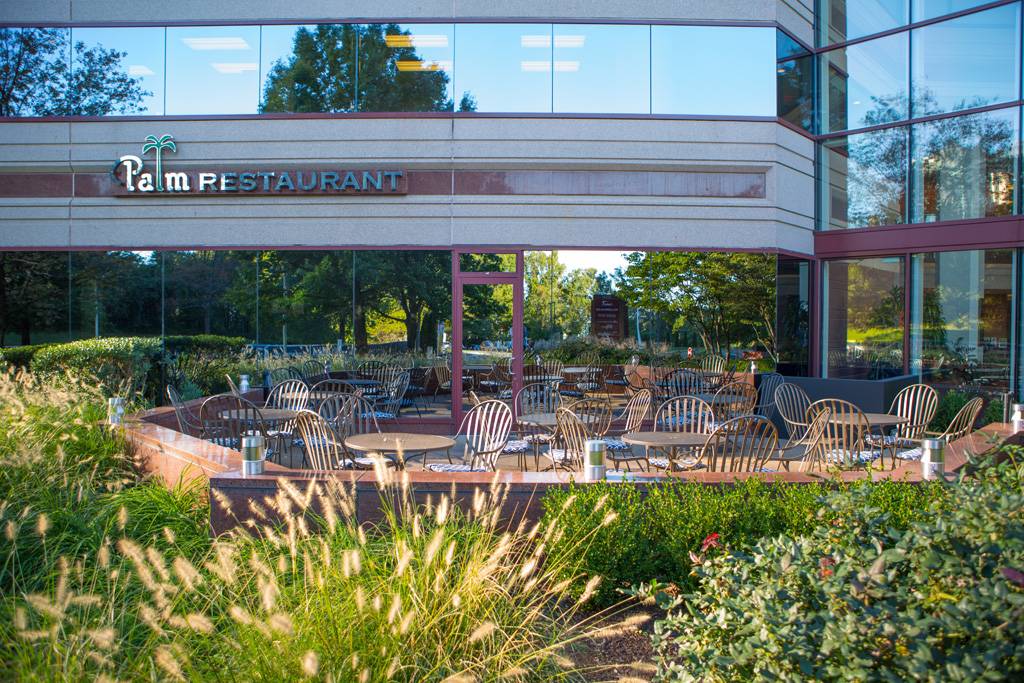 The Palm Tysons Corner | restaurant | 1750 Tysons Blvd, McLean, VA 22102, USA | 7039170200 OR +1 703-917-0200