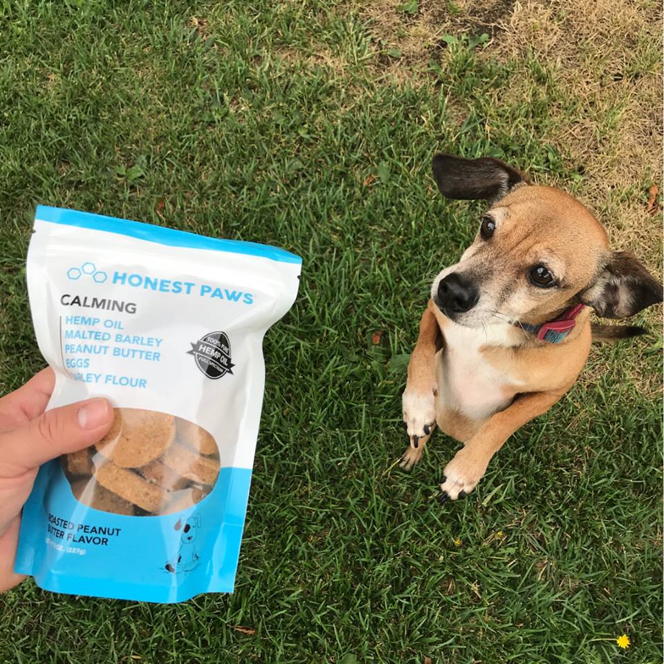 My CBD Health | meal delivery | 14048 Palm Beach Blvd, Fort Myers, FL 33905, USA | 2397037931 OR +1 239-703-7931