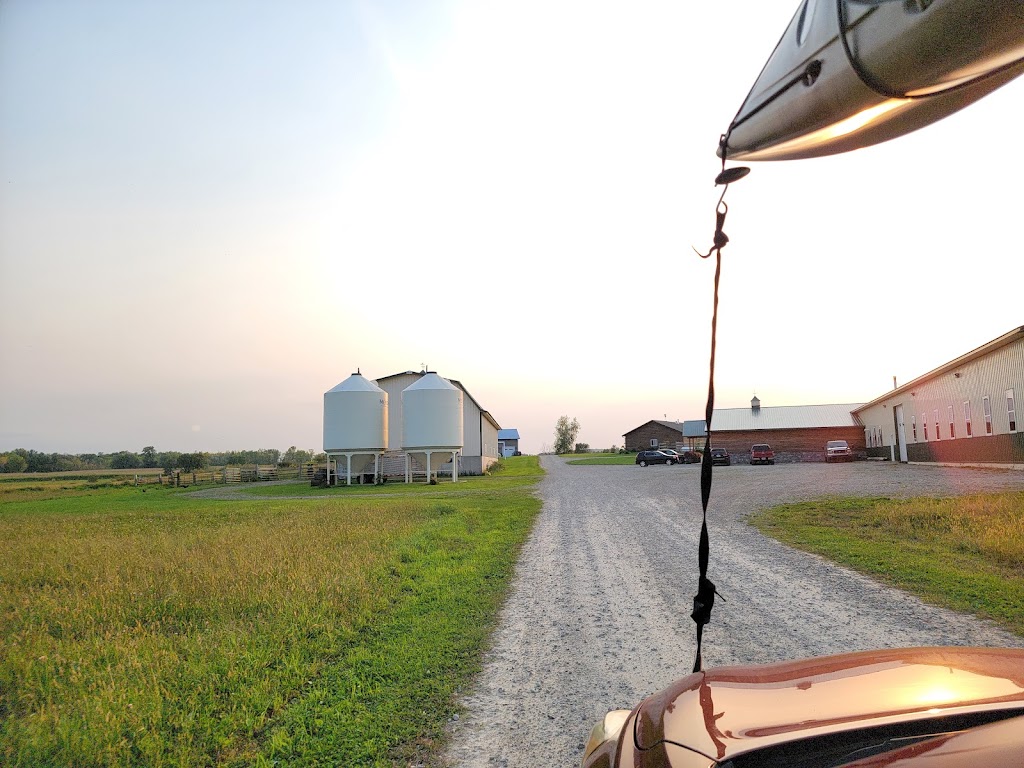 Rio Lobo LLC | restaurant | E6485 County Rd F, Weyauwega, WI 54983, USA | 9205407503 OR +1 920-540-7503