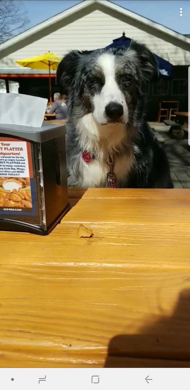 Big Bats Cafe | restaurant | 216 St Claire Pl, Stevensville, MD 21666, USA | 4106041120 OR +1 410-604-1120