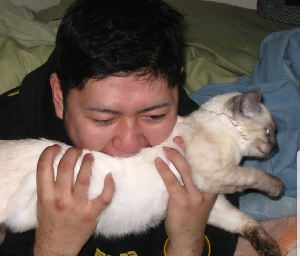 China Wok | restaurant | 2733 FL-70, Arcadia, FL 34266, USA | 8634910134 OR +1 863-491-0134