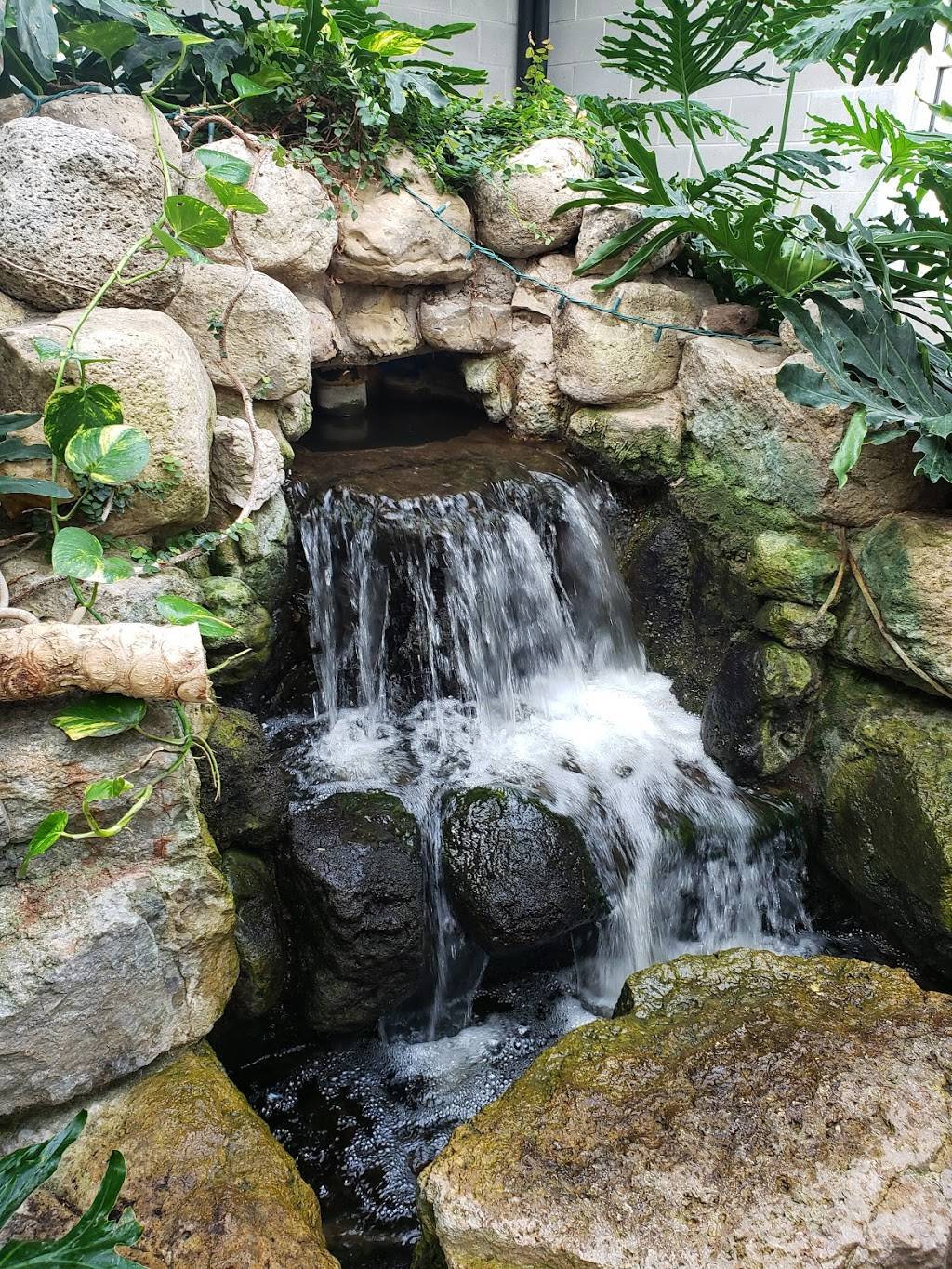 Cambridge Butterfly Conservatory | restaurant | 2500 Kossuth Rd, Cambridge, ON N3H 4R7, Canada | 5196531234 OR +1 519-653-1234