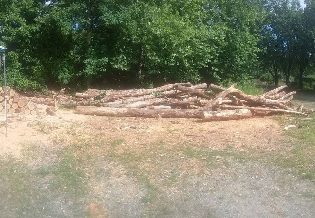 Coffee Carts Studio | restaurant | 1061 Rosman Highway, Brevard, NC 28712, USA | 8288775245 OR +1 828-877-5245