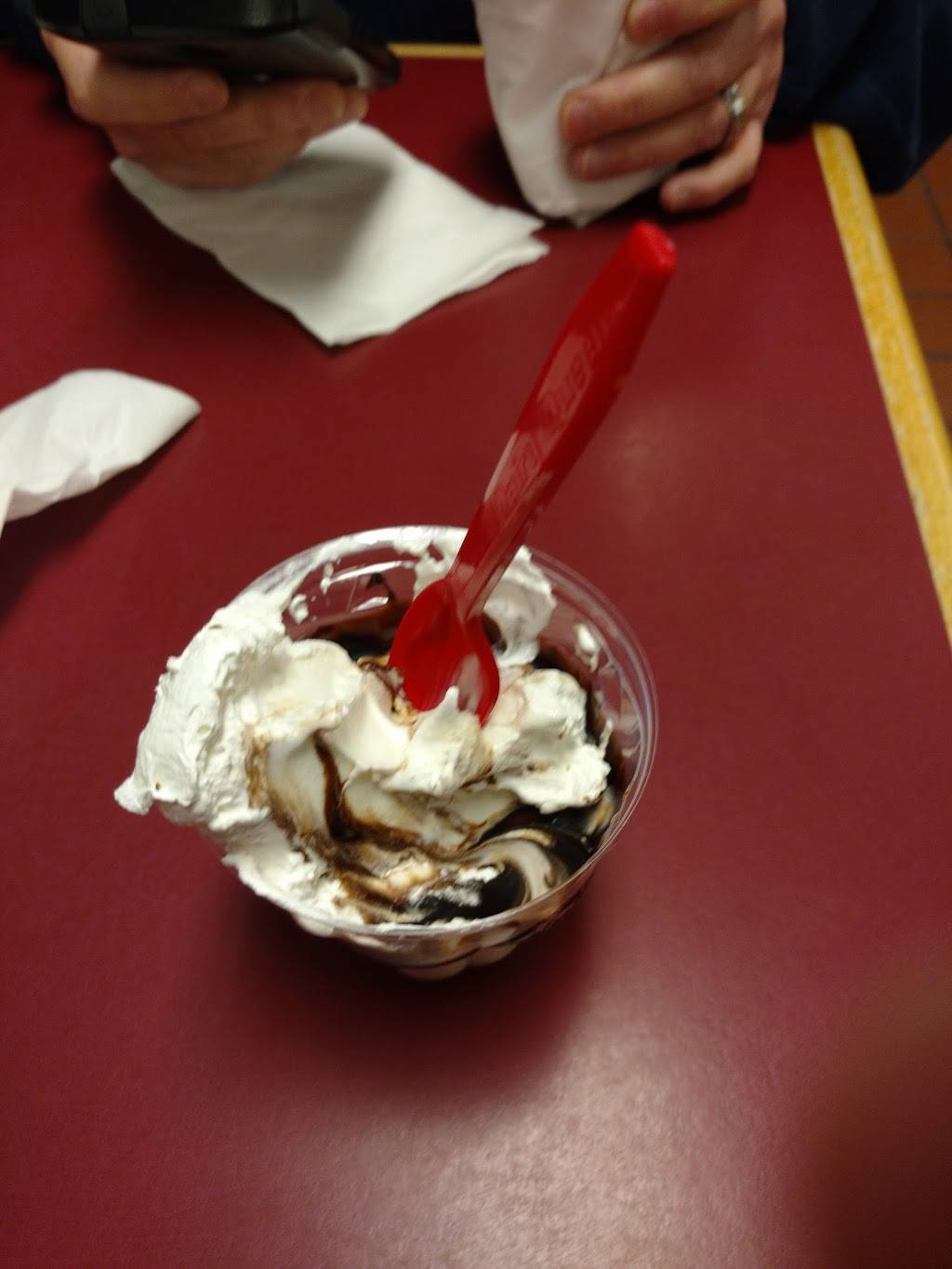 Dairy Queen | restaurant | 3852 Pine Grove Ave, Fort Gratiot Twp, MI 48059, USA | 8109828066 OR +1 810-982-8066