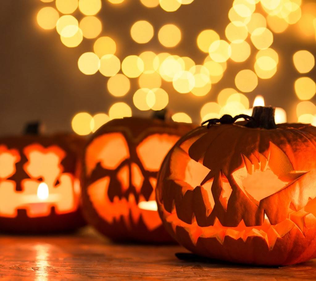 MOD Pizza | restaurant | 970 S Waukegan Rd, Waukegan, IL 60085, USA | 2246100218 OR +1 224-610-0218