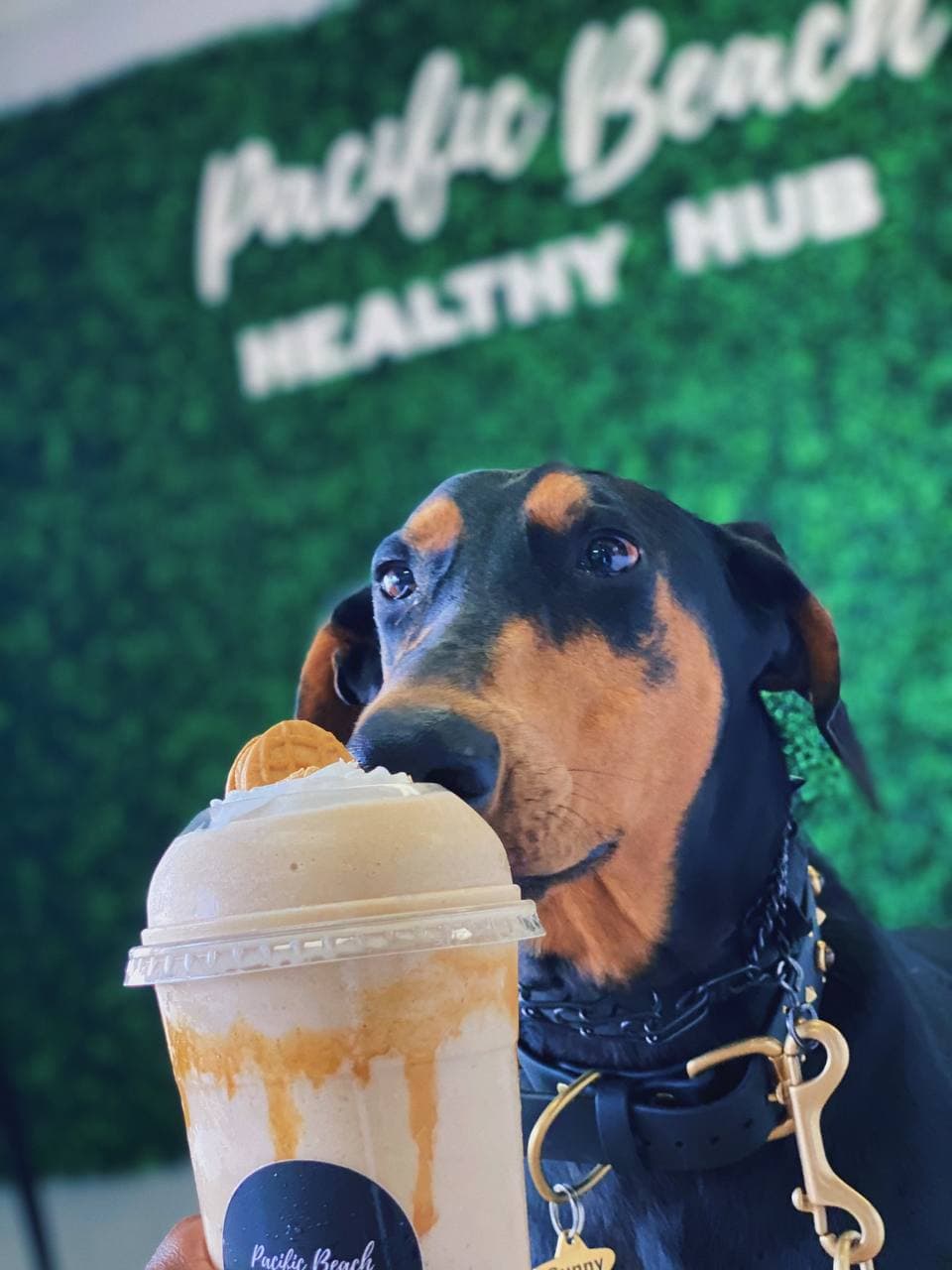 Pacific Beach Healthy Hub | restaurant | 4150 Mission Blvd Suite 119, San Diego, CA 92109, USA | 8582477400 OR +1 858-247-7400