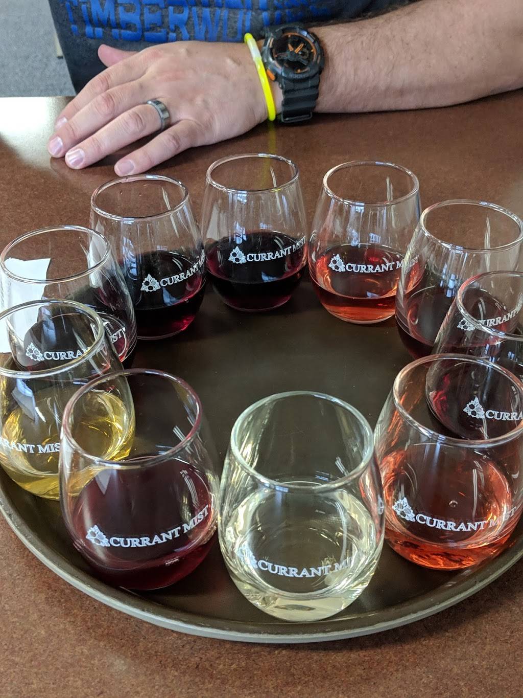 Currant Mist Winery and Tasting Room | restaurant | 5480 W Isabella Rd, Shepherd, MI 48883, USA | 9893173233 OR +1 989-317-3233