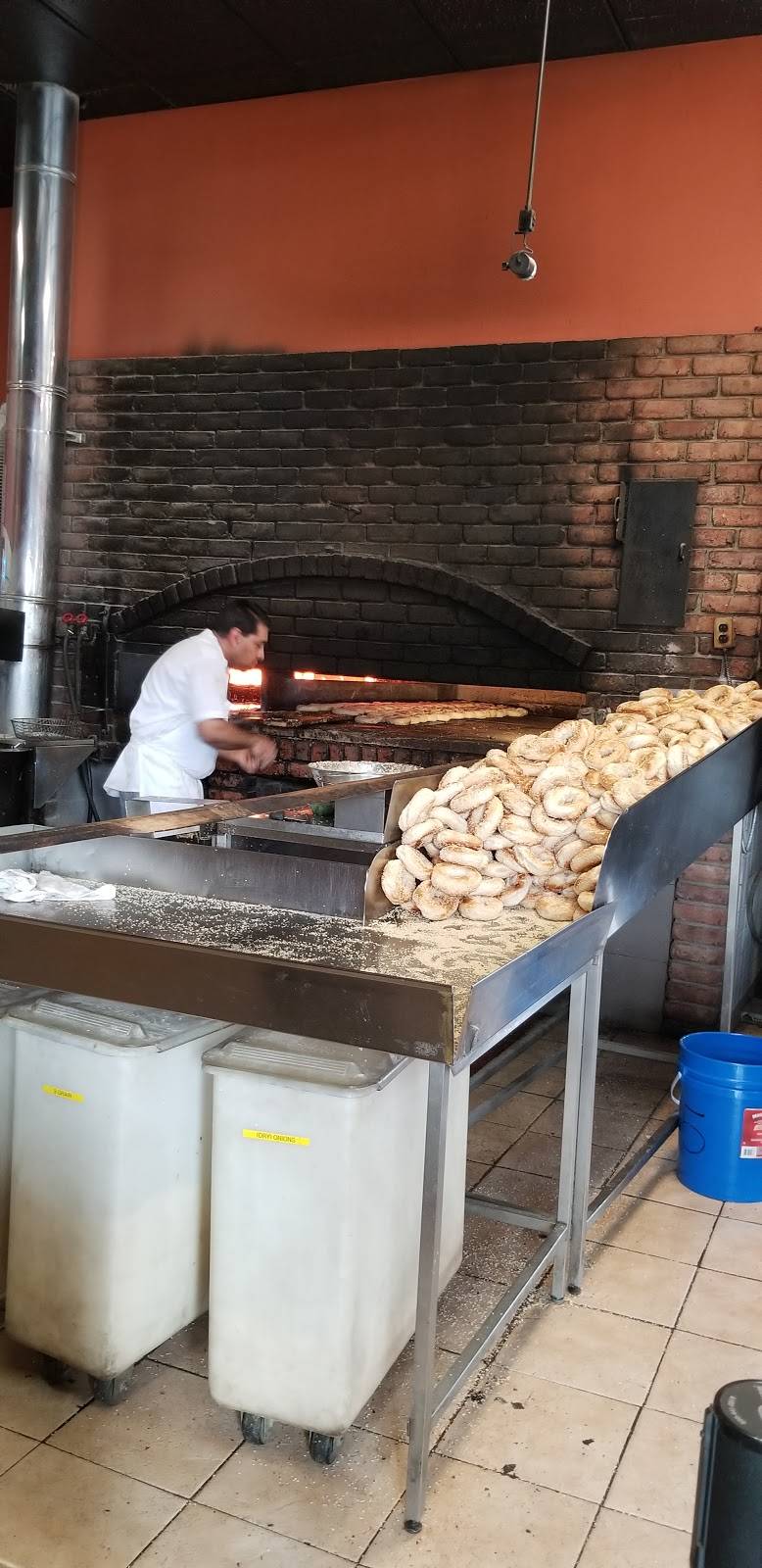 Cadmans Montreal Bagels | restaurant | 2177 Carling Ave, Ottawa, ON K2A 3V6, Canada | 6137224357 OR +1 613-722-4357