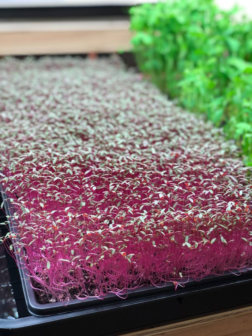 The Green Leaf | restaurant | 5070 Minton Rd #1, Palm Bay, FL 32907, USA | 3217226794 OR +1 321-722-6794