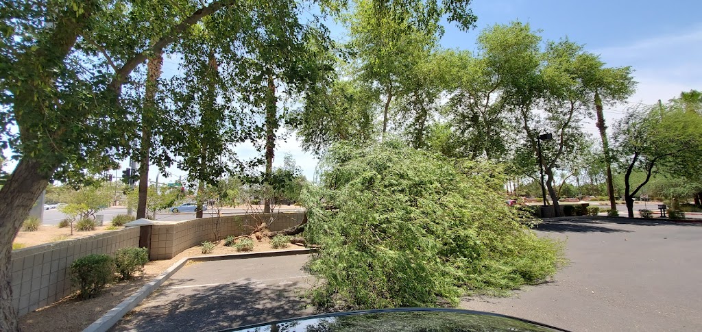 Starbucks | cafe | 344 S Power Rd, Mesa, AZ 85206, USA | 4808075782 OR +1 480-807-5782