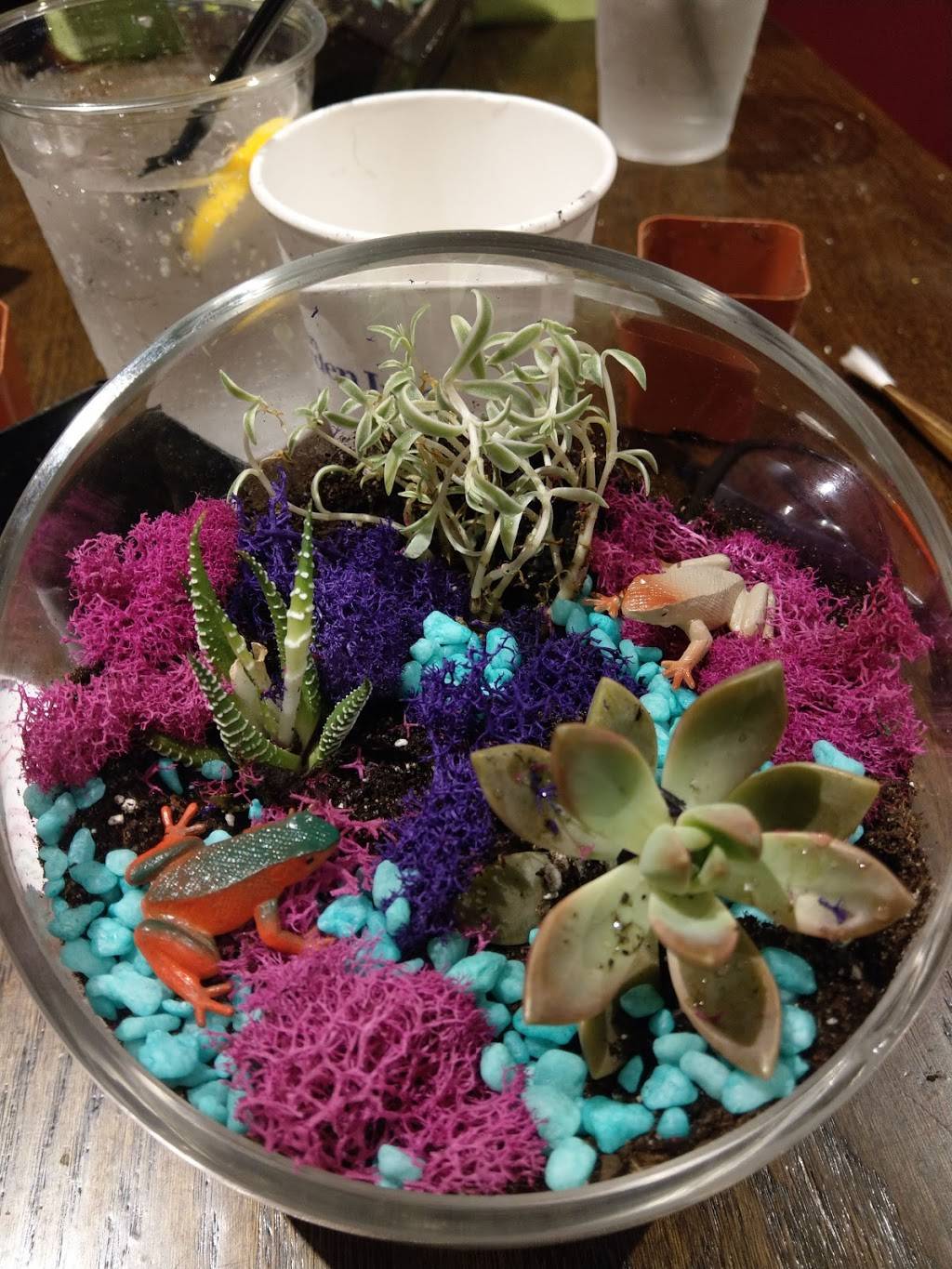 Colony 274 | restaurant | 274 4th Ave, Brooklyn, NY 11215, USA | 7187814862 OR +1 718-781-4862